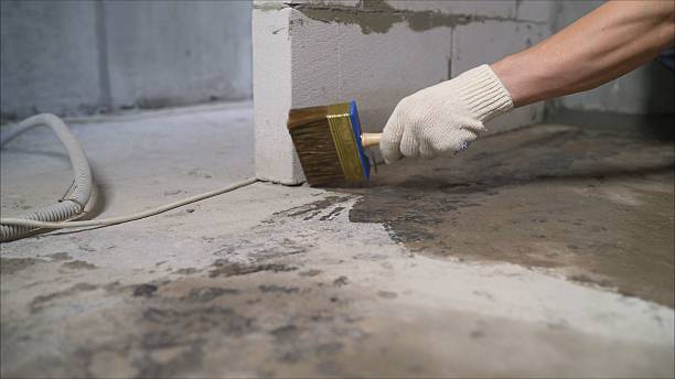SJ Waterproofing Pros Crawl Space Encapsulation coverage map for Greenville, MI and surrounding area